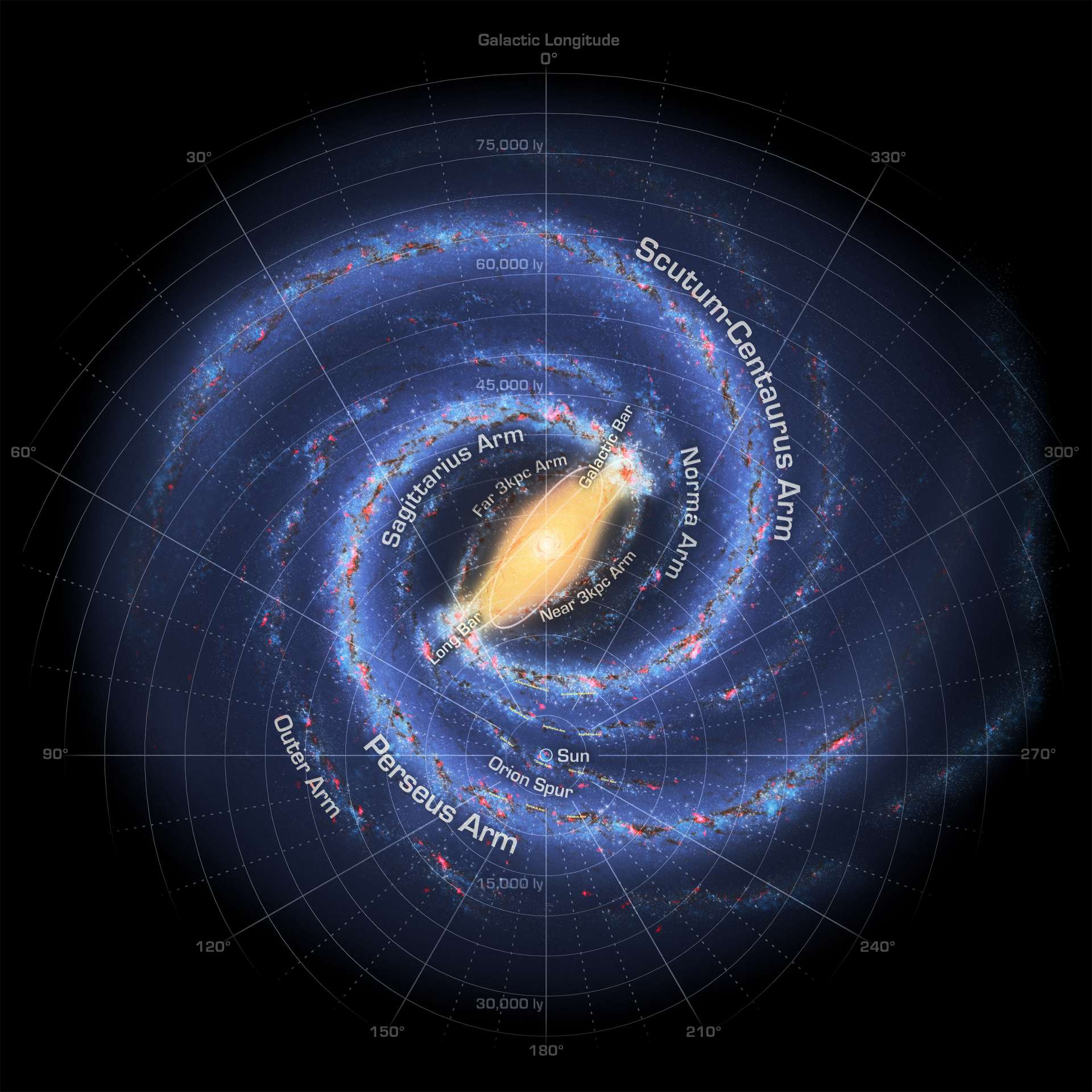 The Galactic Disc