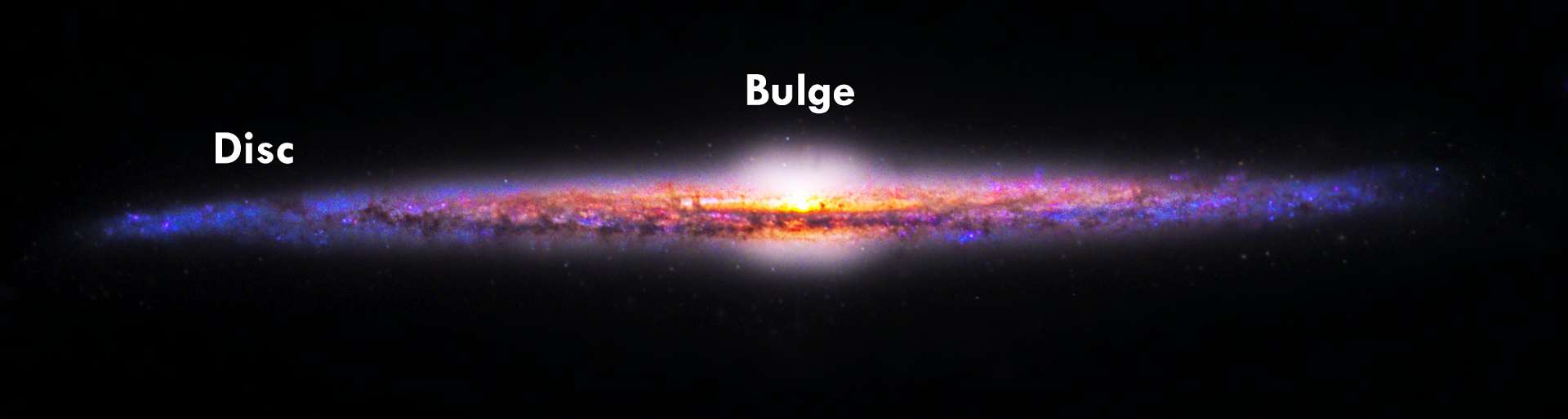 Galaxy Disc and Bulge