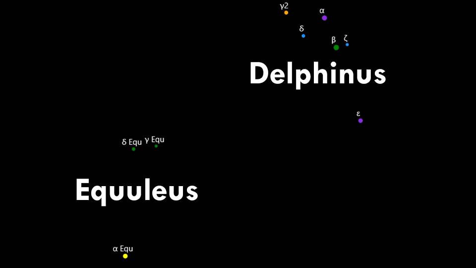 Constellations Delphinus and Equuleus