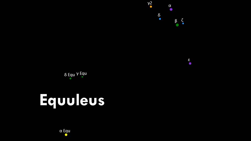 Constellations Delphinus and Equuleus