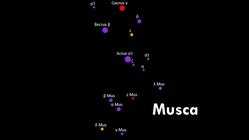 Constellations Crux and Musca